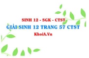 Giải Sinh 12 trang 57 Chân trời Sáng tạo